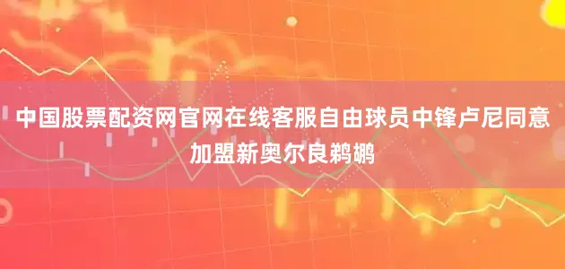 中国股票配资网官网在线客服自由球员中锋卢尼同意加盟新奥尔良鹈鹕