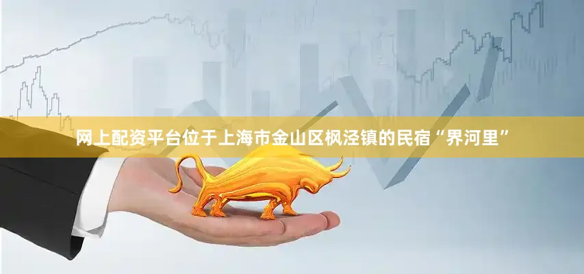 网上配资平台位于上海市金山区枫泾镇的民宿“界河里”