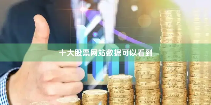 十大股票网站数据可以看到