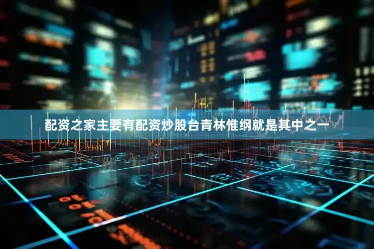 配资之家主要有配资炒股台青林惟纲就是其中之一