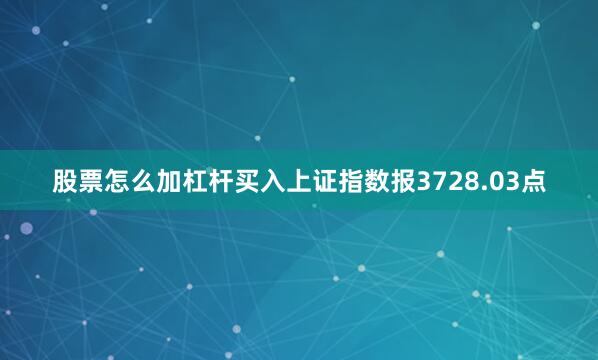 股票怎么加杠杆买入上证指数报3728.03点