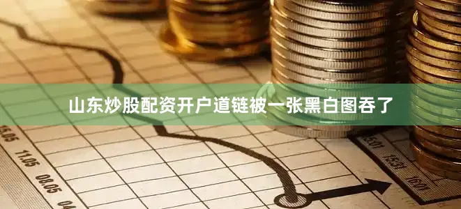 山东炒股配资开户道链被一张黑白图吞了